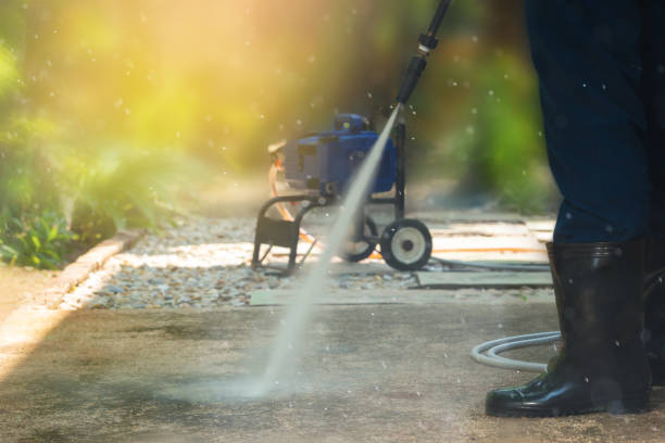 Best Animal Enclosure Cleaning  in Firestone, CO